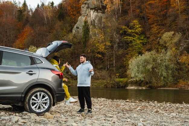 Основные компоненты системы Стс и их назначение