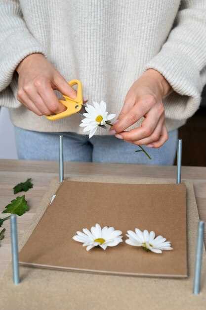 Способы устранения и профилактики стука ромашек