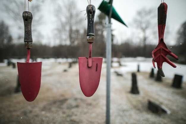 Где купить необходимые компоненты
