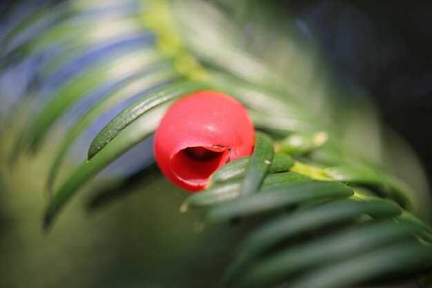 Причины возникновения гнета клапана у Калины 2