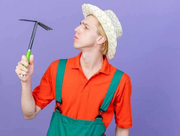 Распространённые технические причины отказа дворников