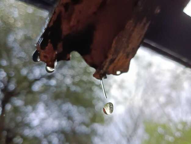 Пошаговая инструкция по замене насоса