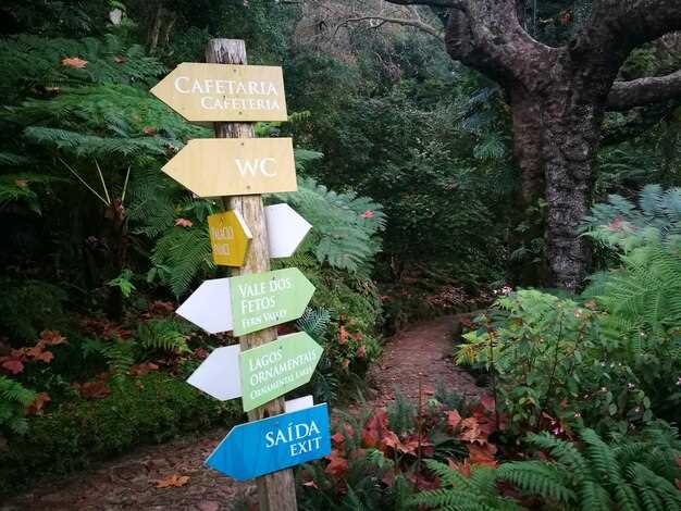 Экскурсии и культурные достопримечательности на маршруте